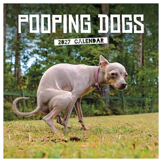2027 Pooping Dogs Wall Calendar By Tf Publishing | 12" x 12" | Michaels®